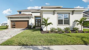 Grand Eider - Eagles Cove at Mirada: San Antonio, Florida - DRB Homes