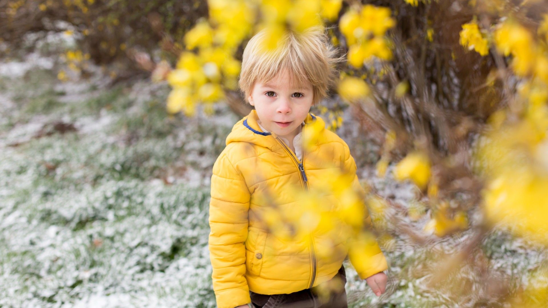 Enjoy All Seasons at Saguaro Hills at Vistancia, Peoria, Arizona