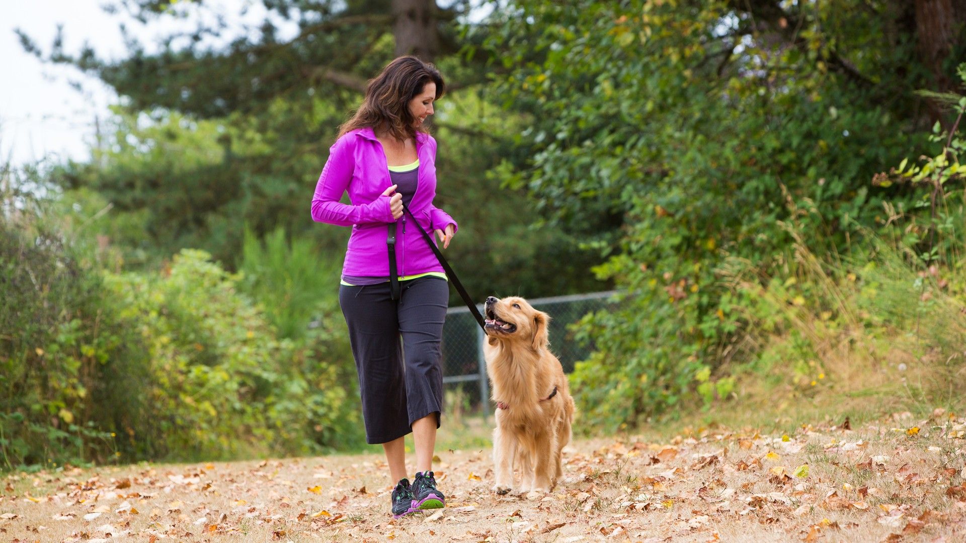 Embrace serene walks with scenic views in Peoria, AZ, where lush greenery offers a tranquil retreat.