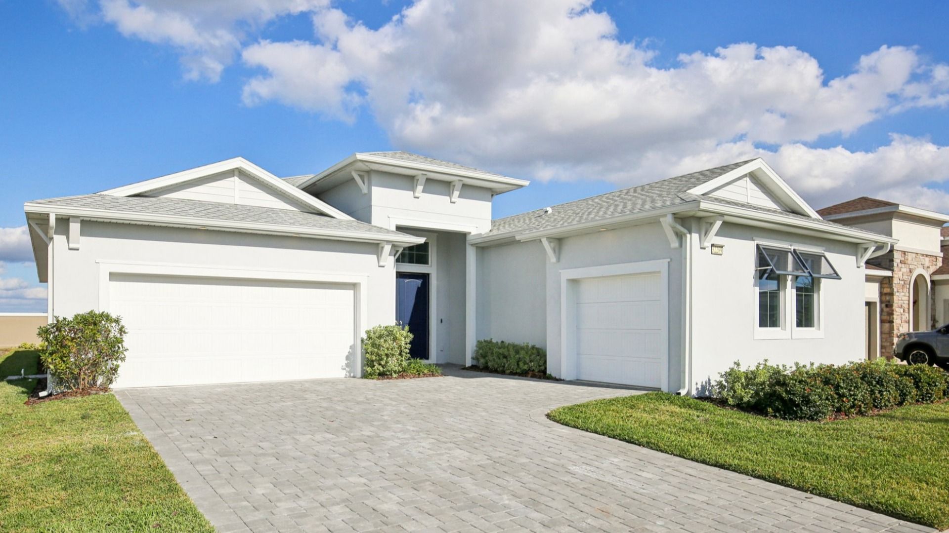 32289 Wetland Bird View (Eider)