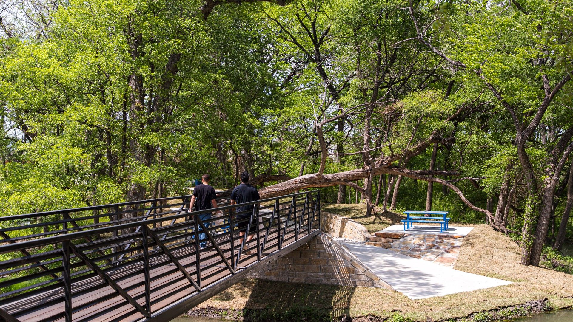 Elegant pedestrian bridge and serene bench area amidst lush greenery in Solterra, Texas.