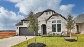 21130 Sunlight Grove Drive (Willow)