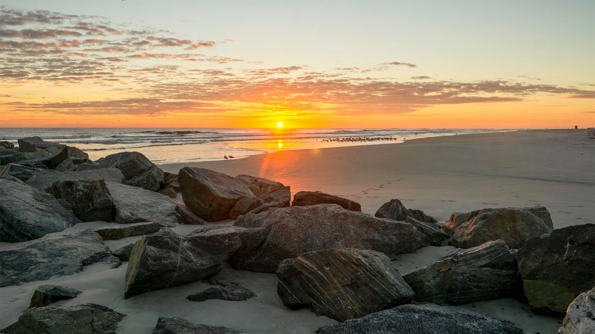 Ardisia Park - New Smyrna Beach, FL