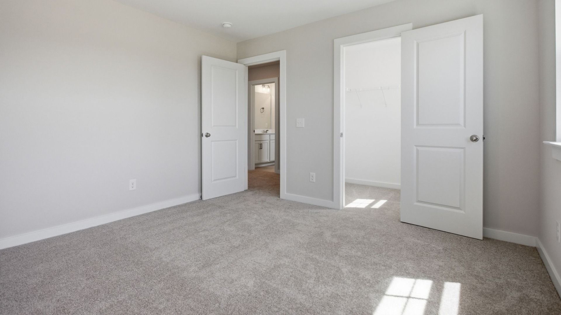 Bedroom with carpet, walk-in closet, and nearby bathroom
