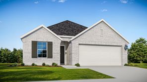 13733 Tucker Hedge (Maldives III)