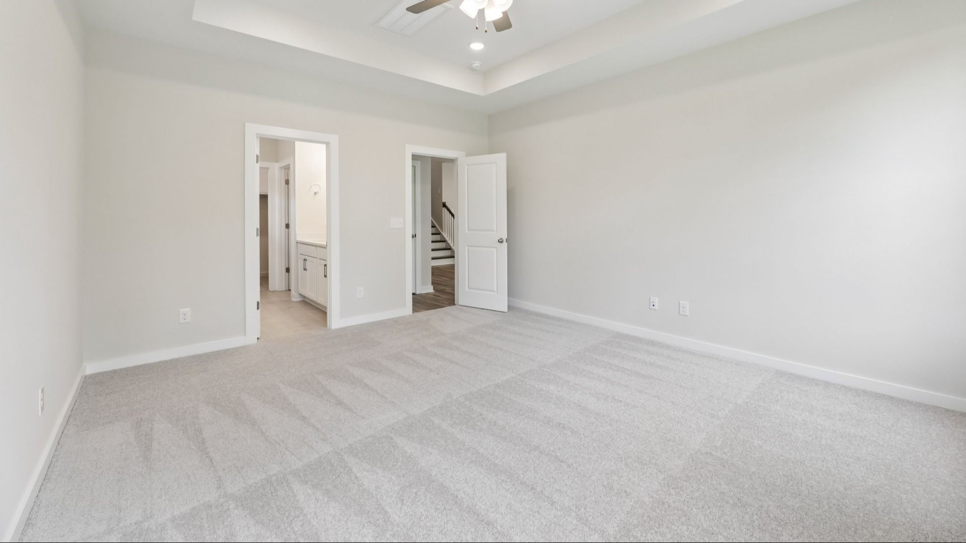 Primary suite with tray ceiling carpet