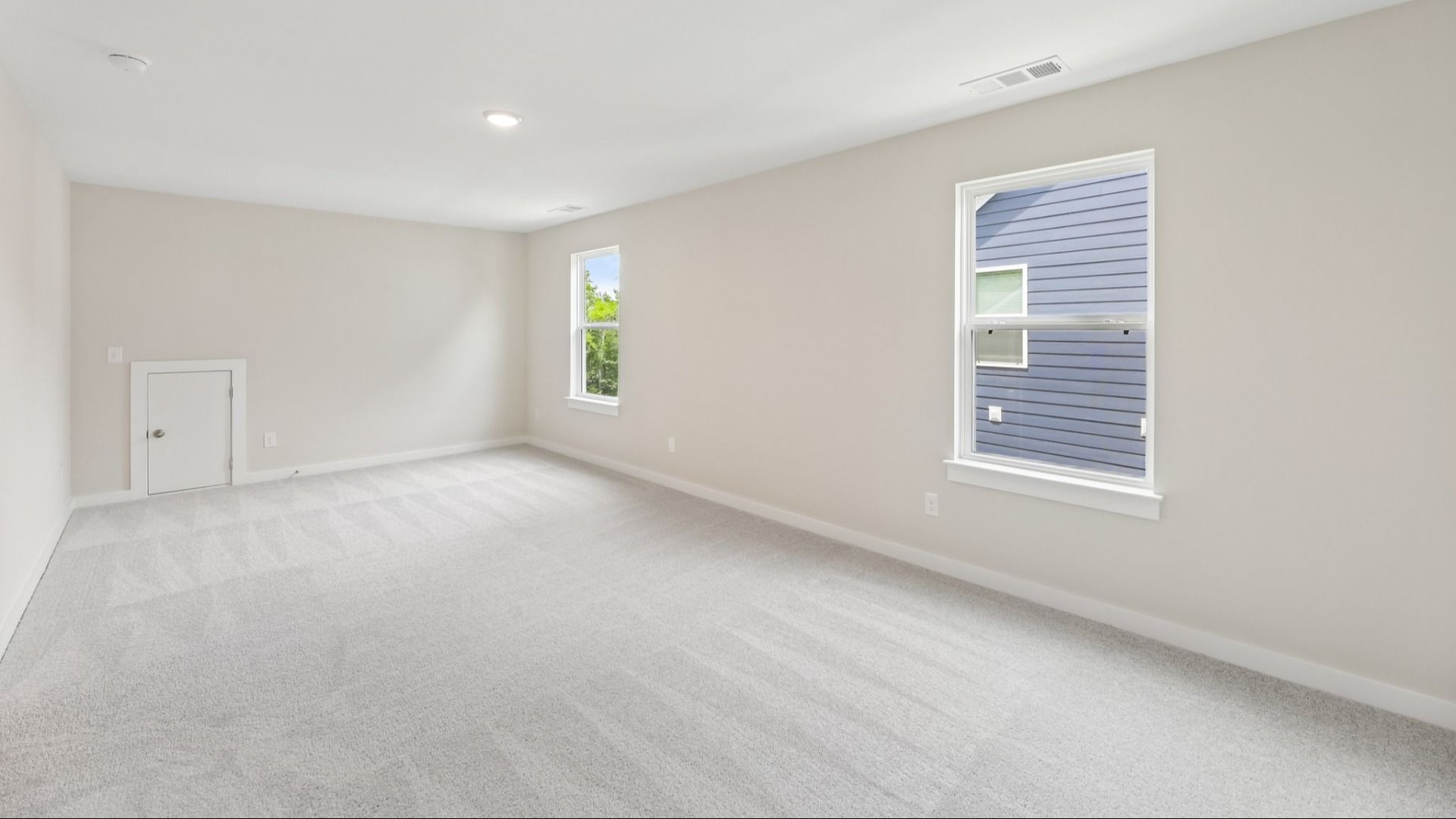 Storage room with carpet and windows
