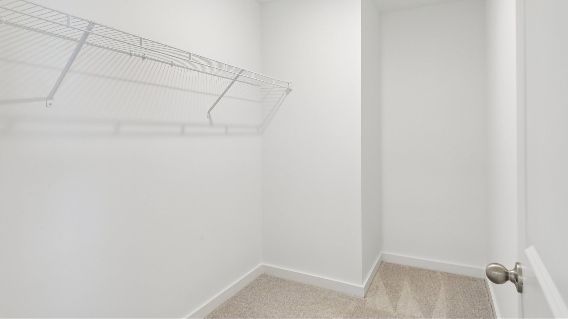 Closet with carpet and ventilated shelf