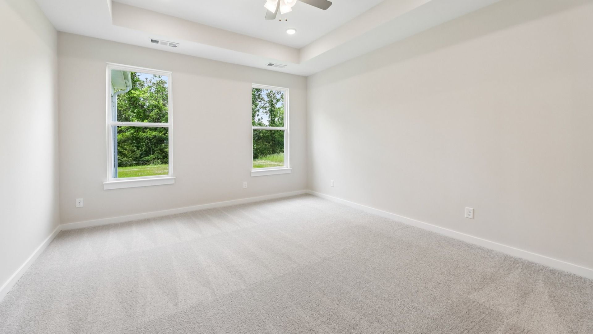 Primary suite with tray ceiling, windows, and carpet