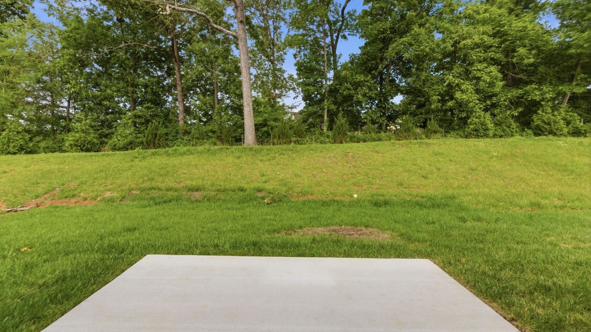 Read patio and view of backyard