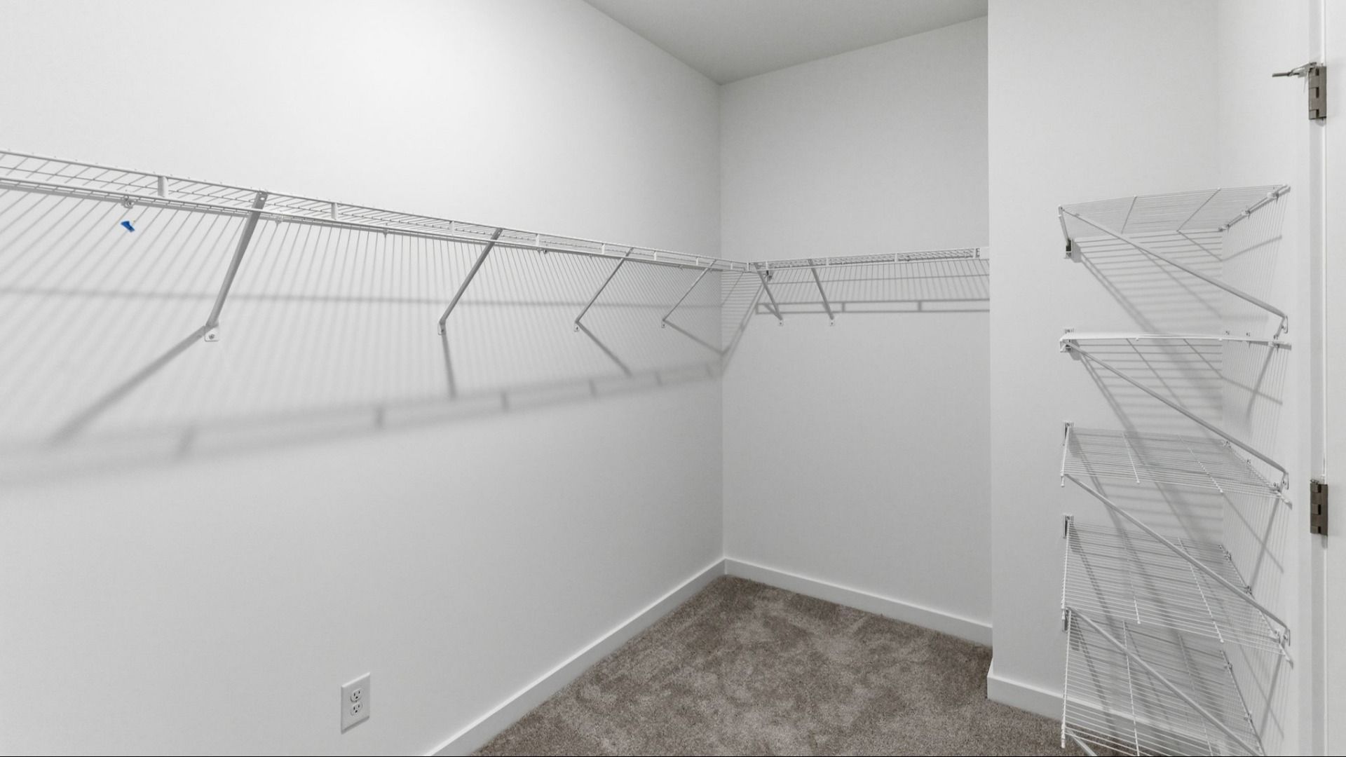Closet with carpet and ventilated shelves