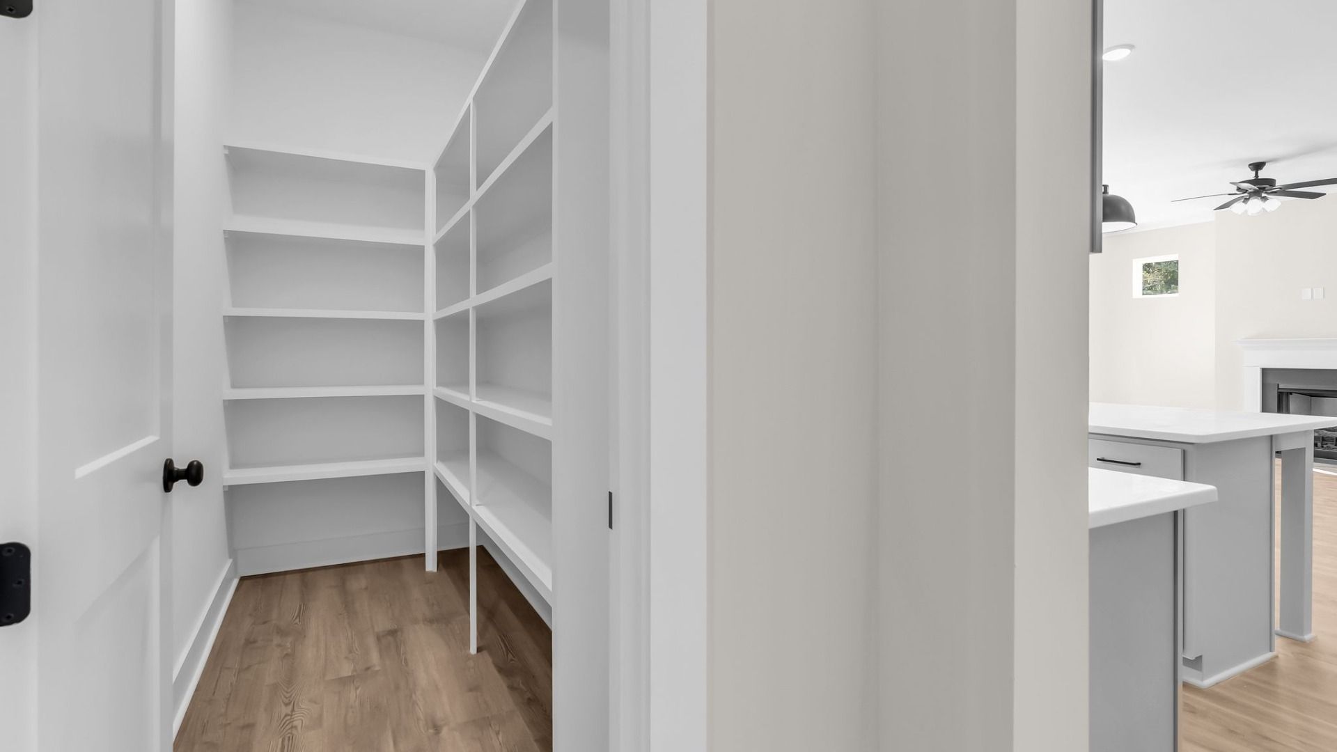 Walk-in pantry with built-in shelves