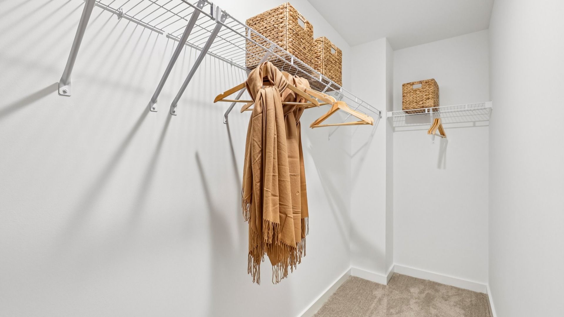Closet with carpet and ventilated shelf