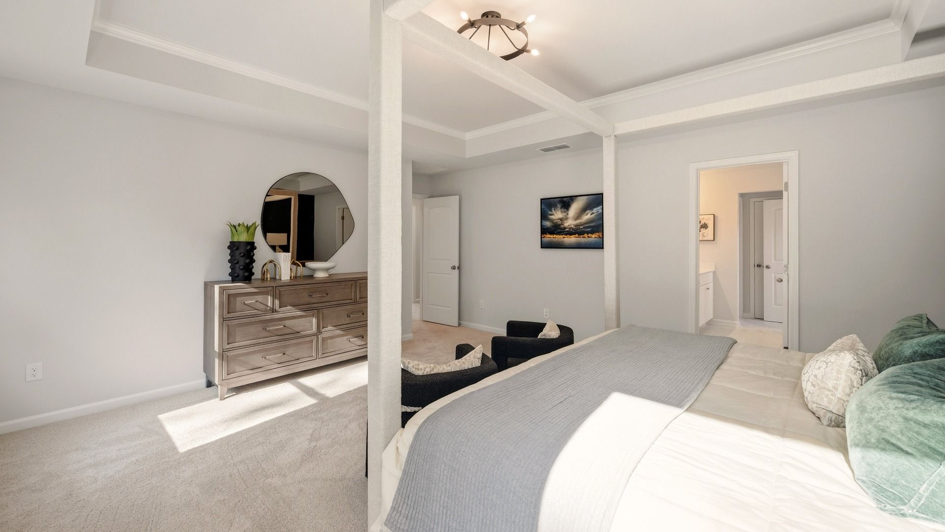 Primary suite with tray ceiling, carpet, and bright natural lighting from windows