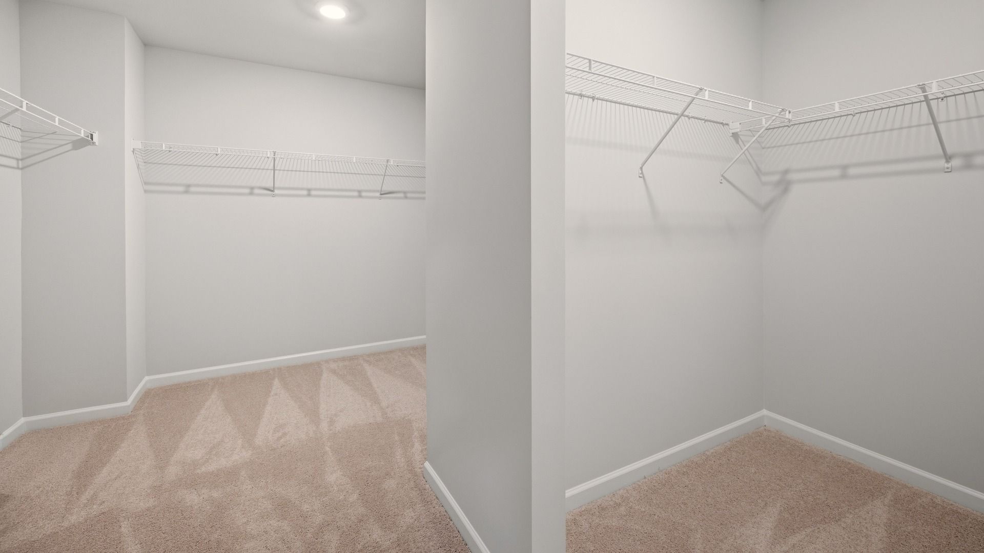 Primary closet with carpet and ventilated shelves