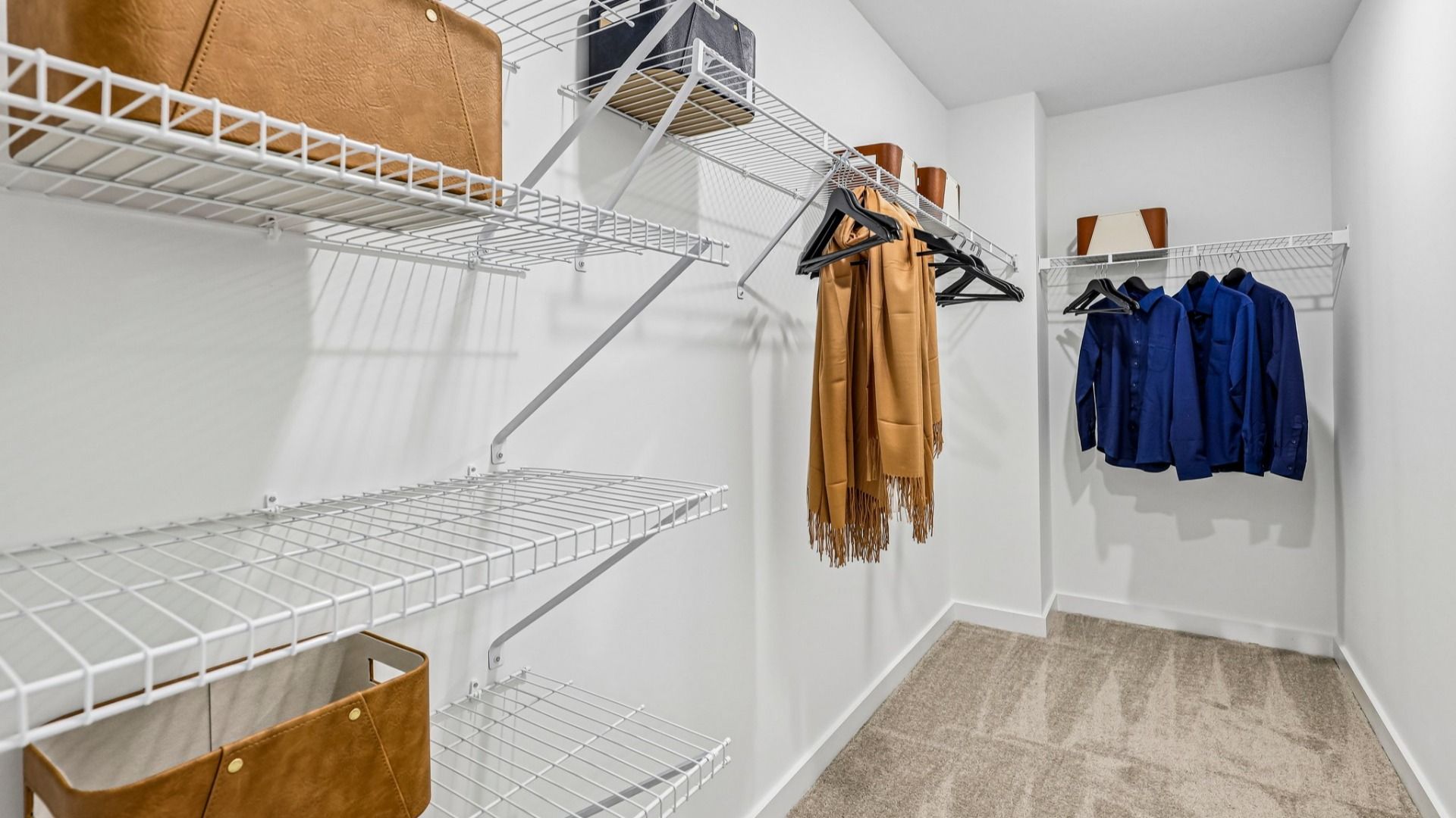 Primary closet with carpet and ventilated shelves