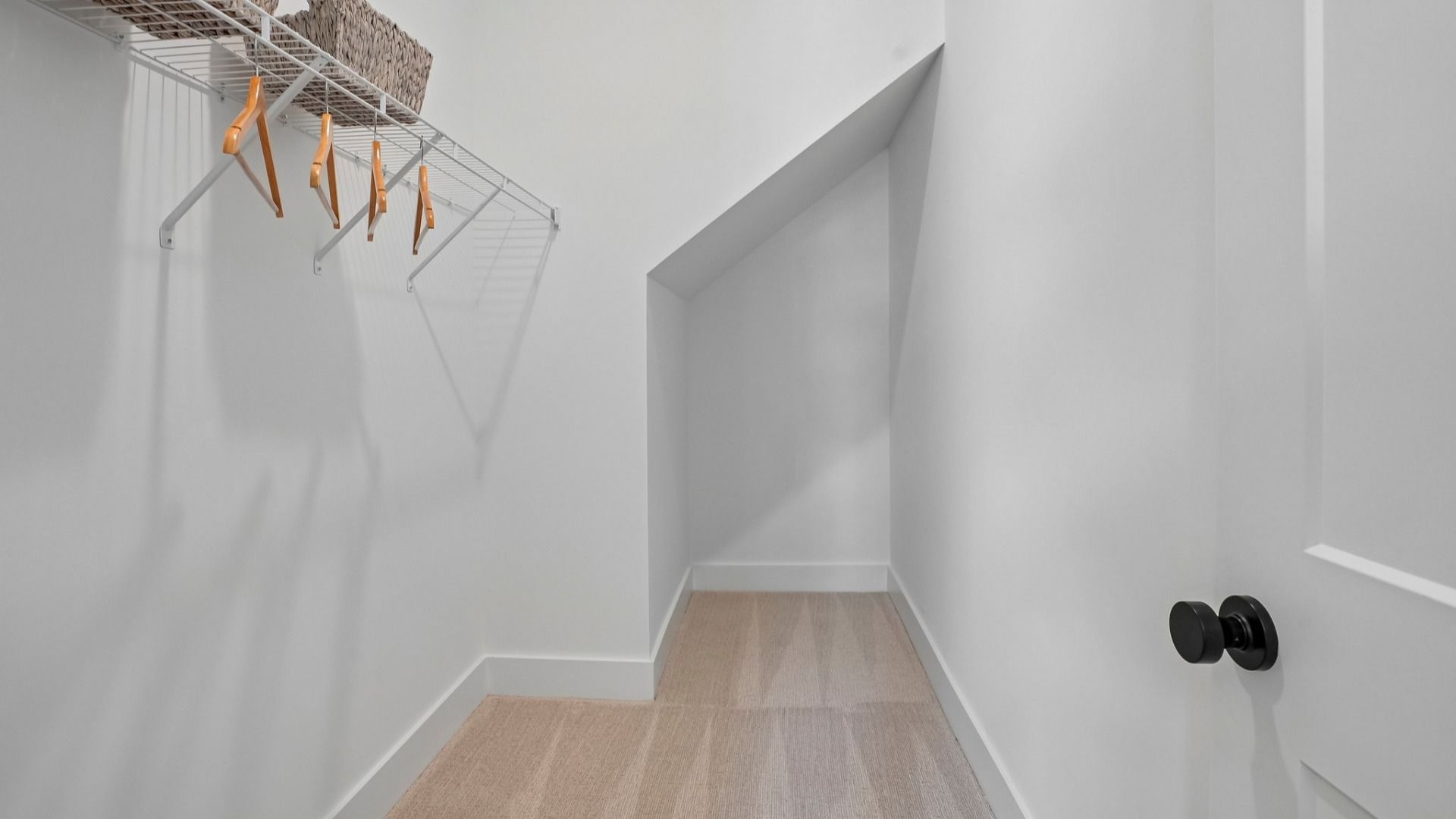 Large closet with carpet and ventilated shelf