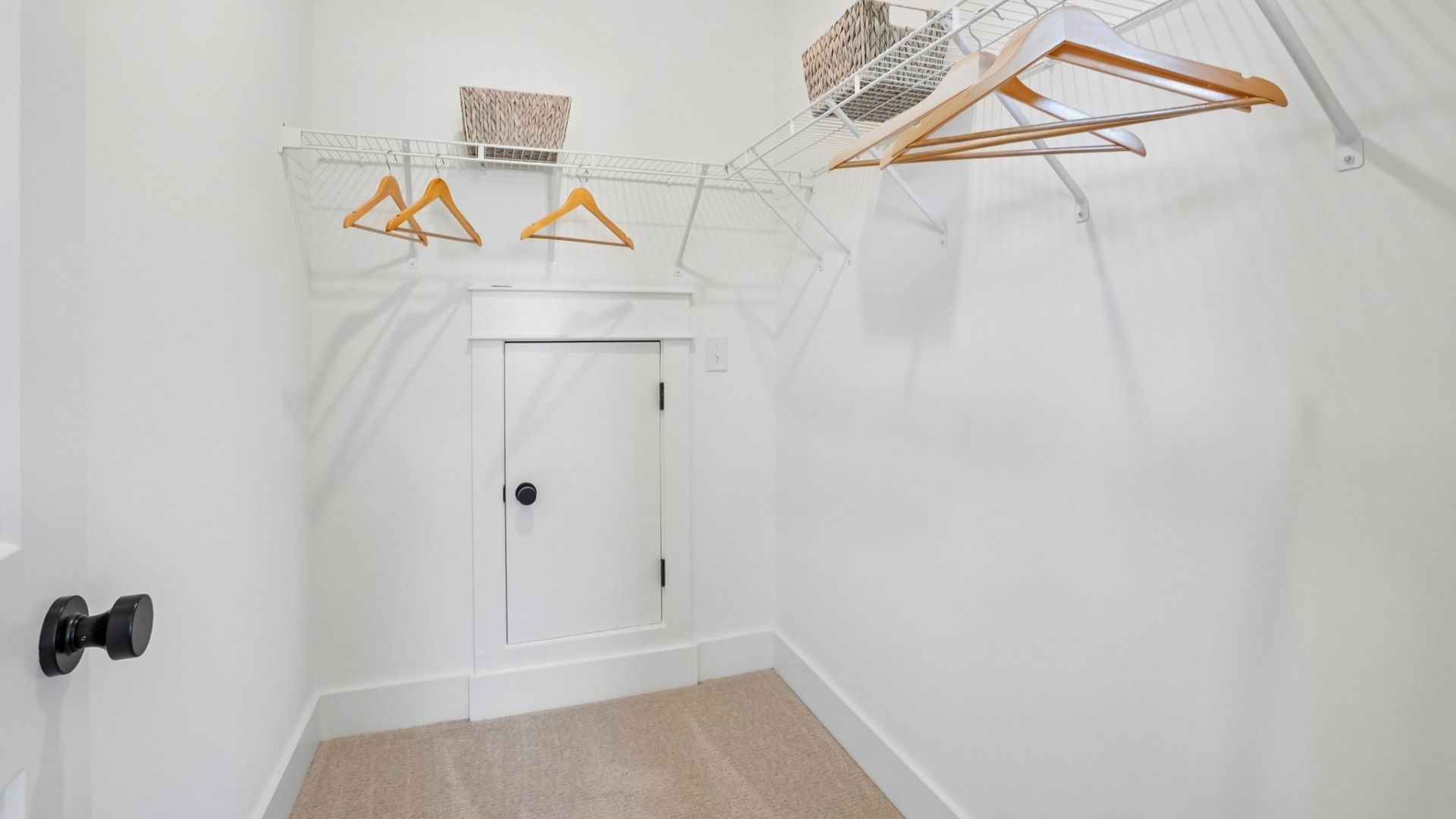 Closet with carpet and ventilated shelf
