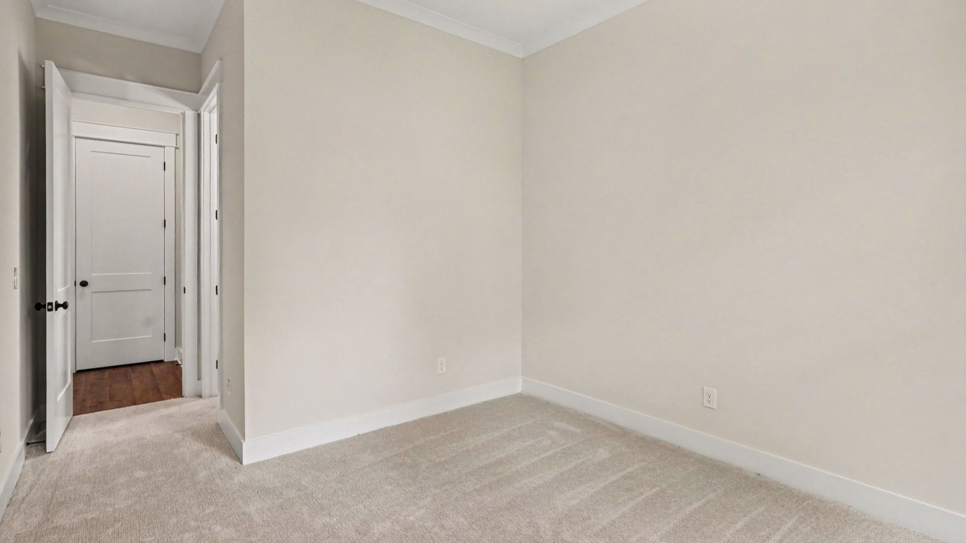Secondary bedroom with carpet and closet