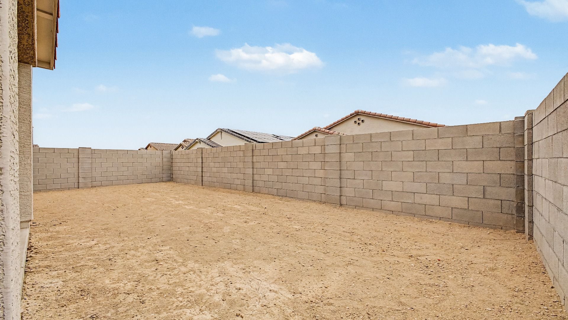 Larkspur Home Plan - Backyard