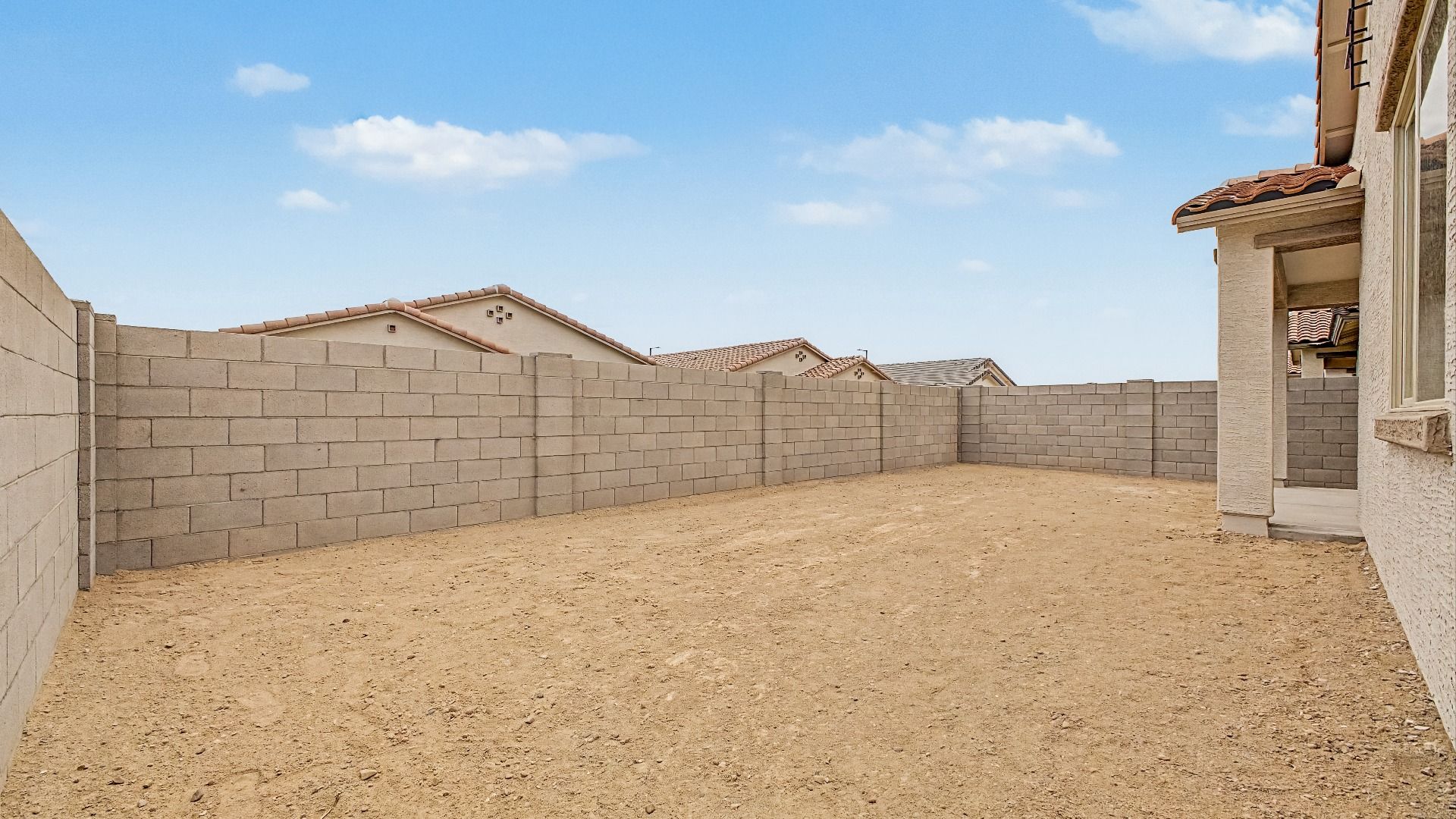 Larkspur Home Plan - Backyard