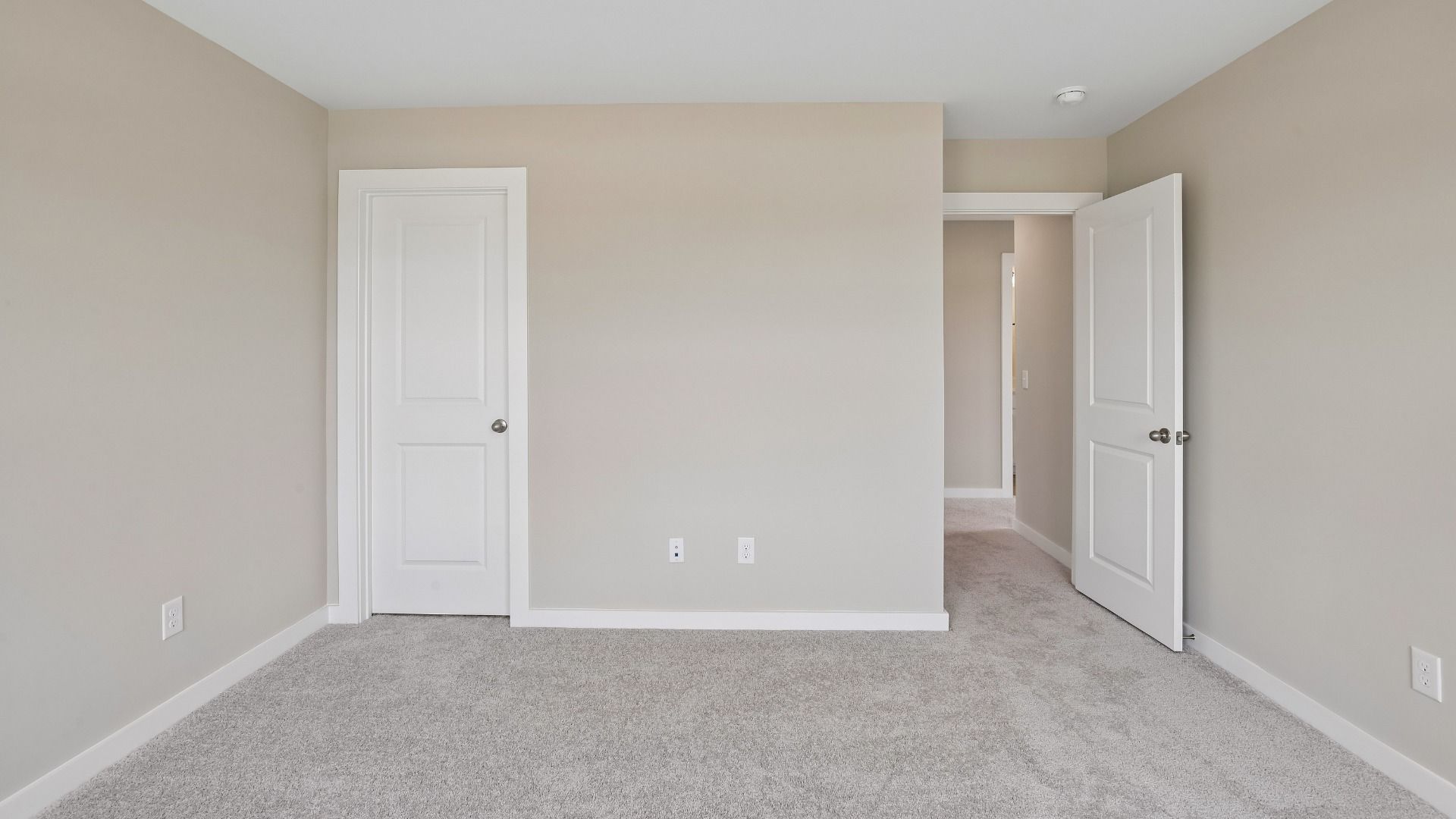 Bedroom with walk-in closet and windows