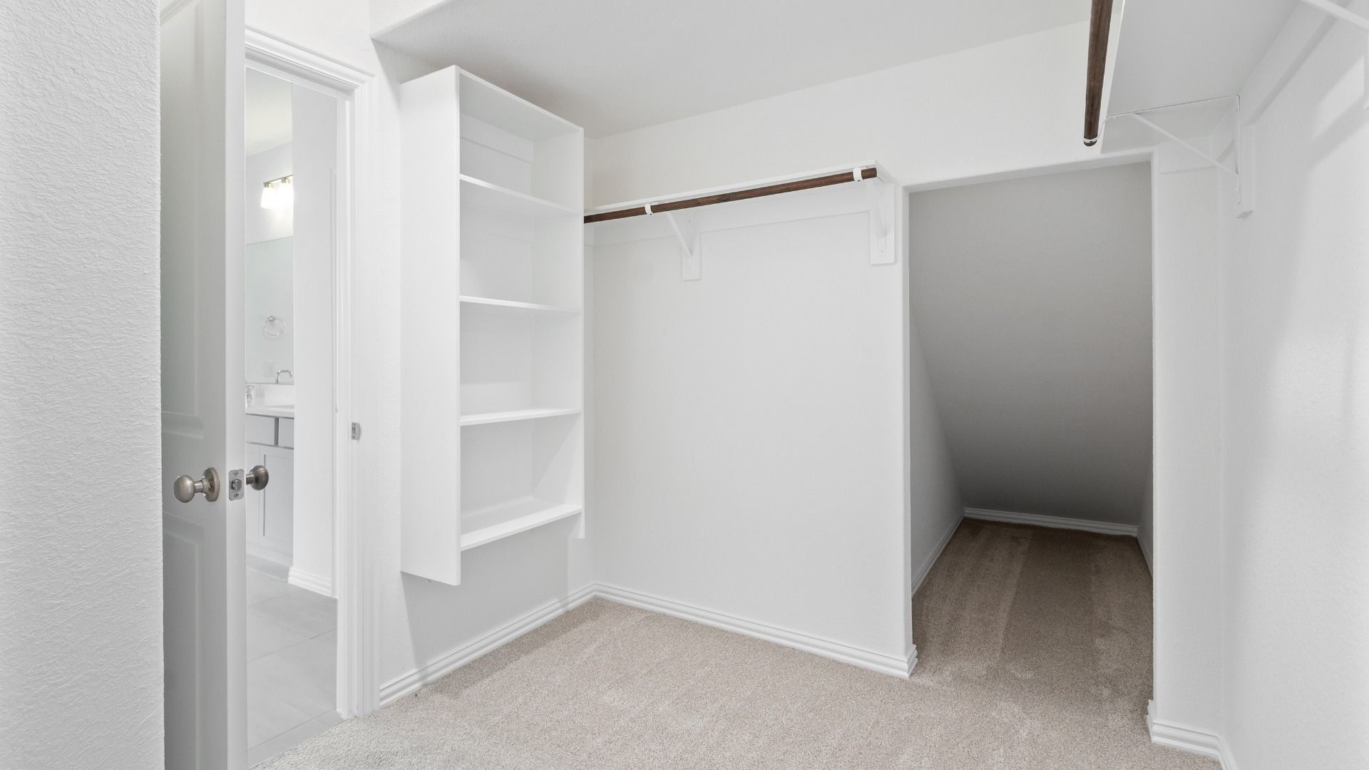 19438 Saint Green - Closet