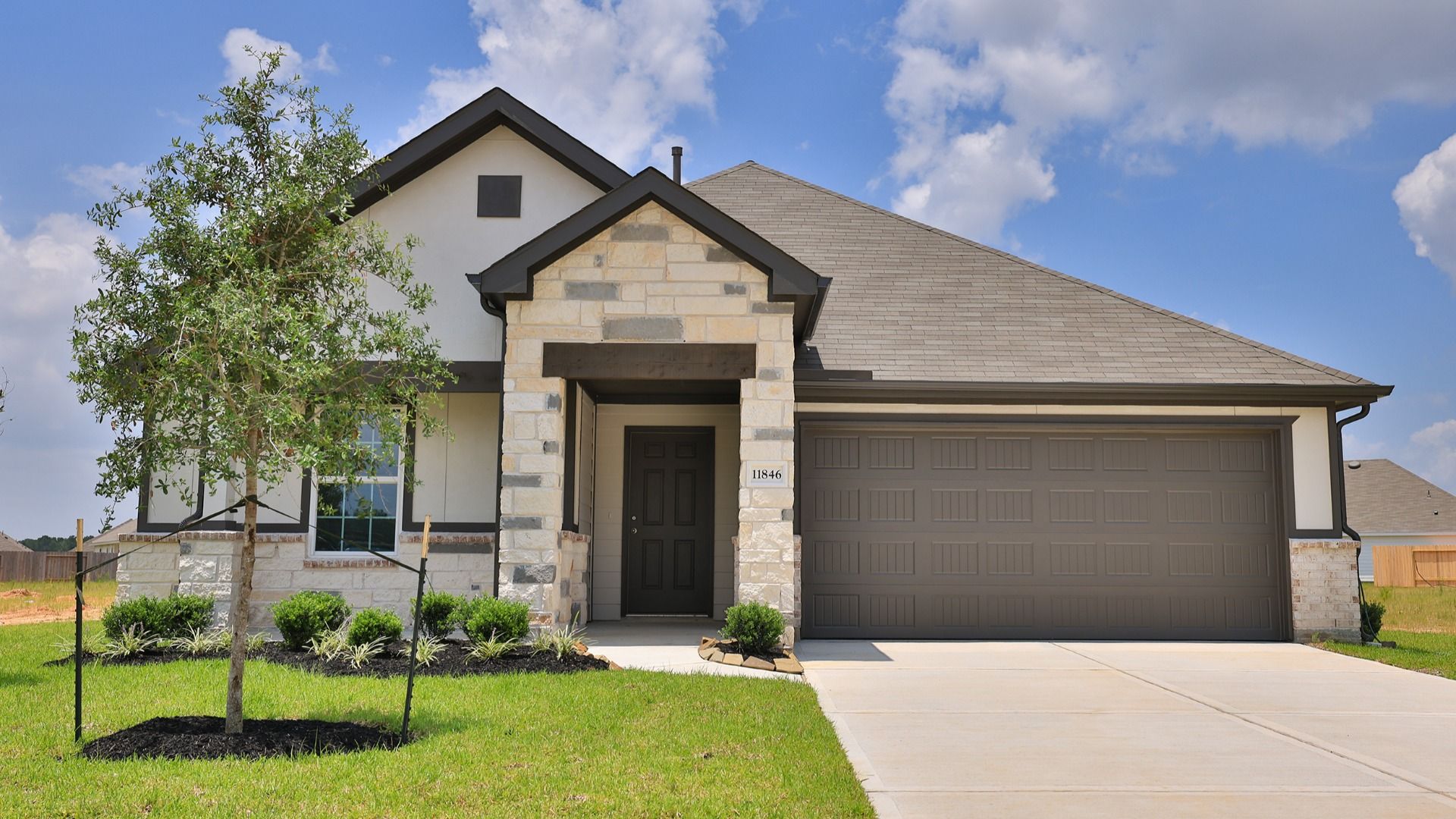 Elevation 6