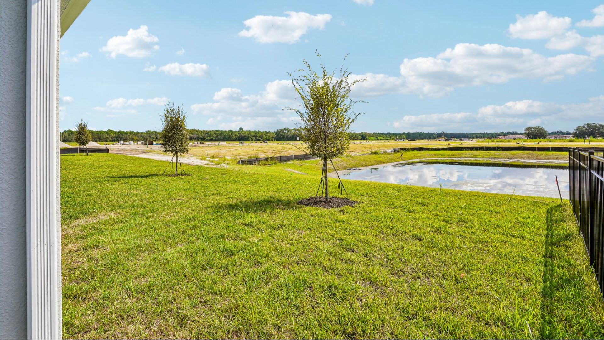 Oleander Back Yard of the Model Home by DRB Homes in Ardisia Park in New Smyrna Beach, FL