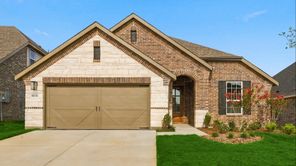 16521 Japanese Maple Drive (Palm)