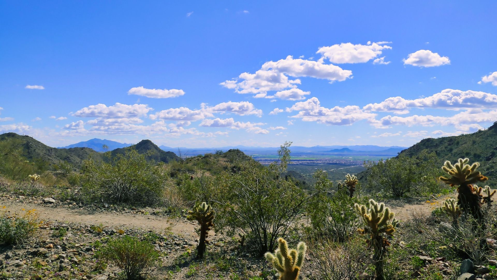Skyline Region Park View, Buckeye, RZ