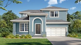 Cocoplum - Primrose at Longleaf: New Port Richey, Florida - DRB Homes