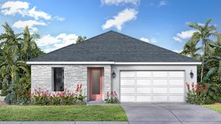 Longleaf - Trailside: Mount Dora, Florida - DRB Homes