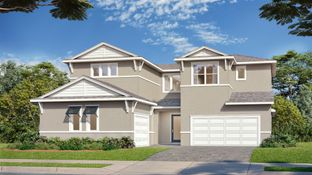 Falcon - Biscayne Landing at Seaire: Parrish, Florida - DRB Homes
