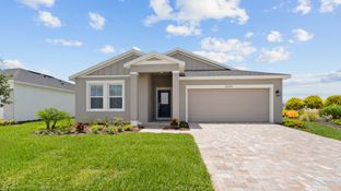 Castaway - Hamilton Bluff: Haines City, Florida - DRB Homes