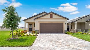 Atlantic - Grasslands West: Lakeland, Florida - DRB Homes