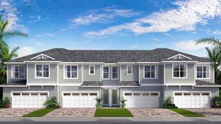 Aruba - Isla Mirada: San Antonio, Florida - DRB Homes