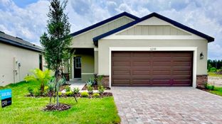Flagler - Hamilton Bluff: Haines City, Florida - DRB Homes