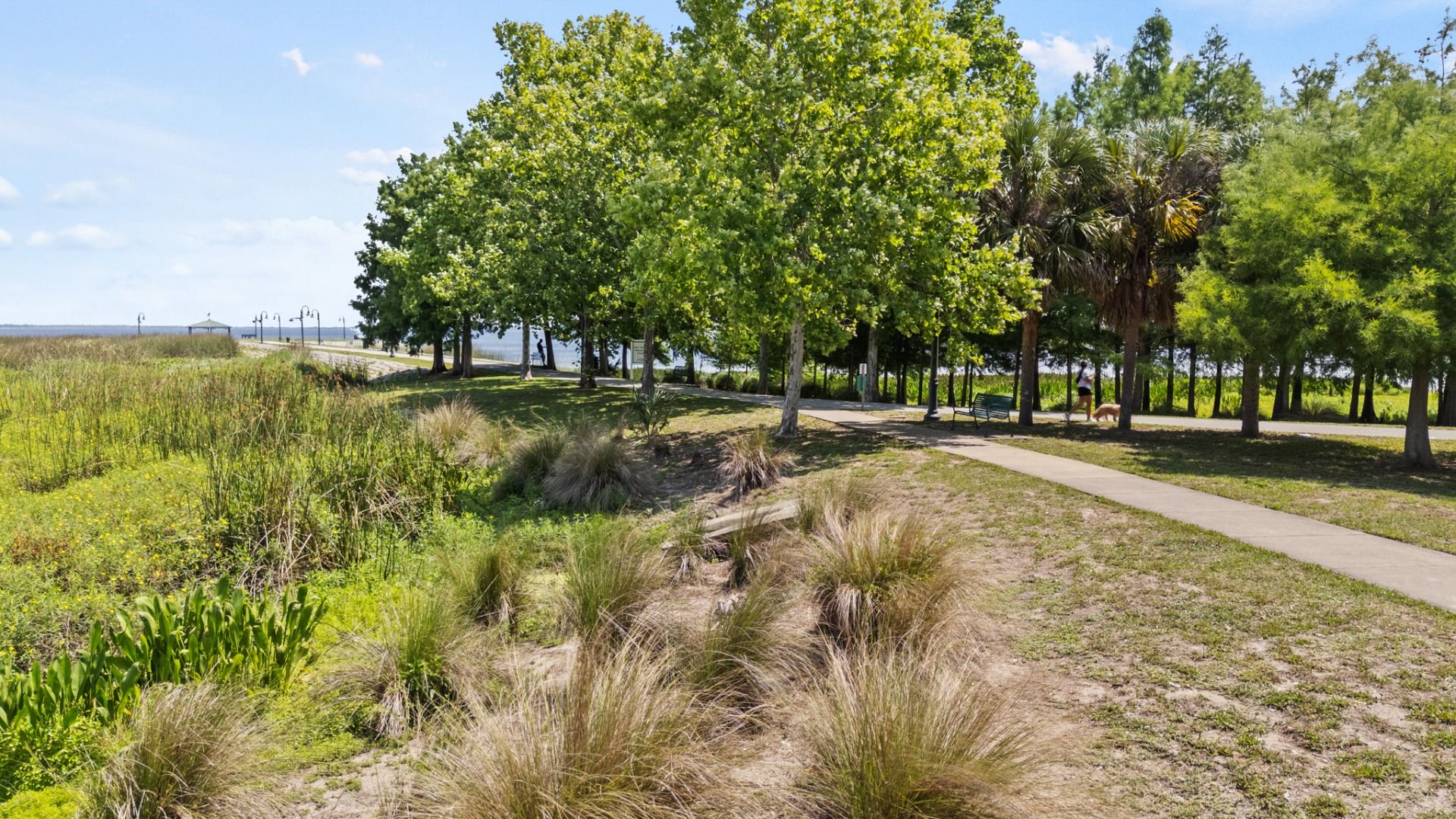Lakefront Park on Lake Tohopekaliga in St. Cloud, FL offering scenic views and a peaceful walking path.