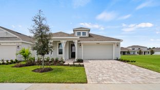Buttonwood - Trailside: Mount Dora, Florida - DRB Homes