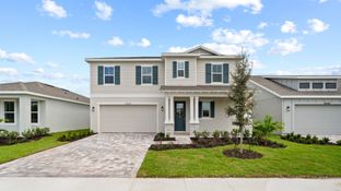 Mangrove - Trailside: Mount Dora, Florida - DRB Homes