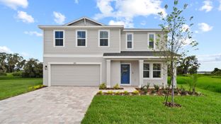Highbourne - Willowbrook North: Winter Haven, Florida - DRB Homes