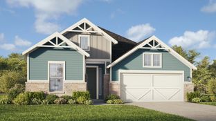 Oleander - The Crossvine: Schertz, Texas - DRB Homes