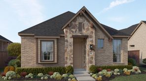 205 Rock Daisy Trail (Carroll I)
