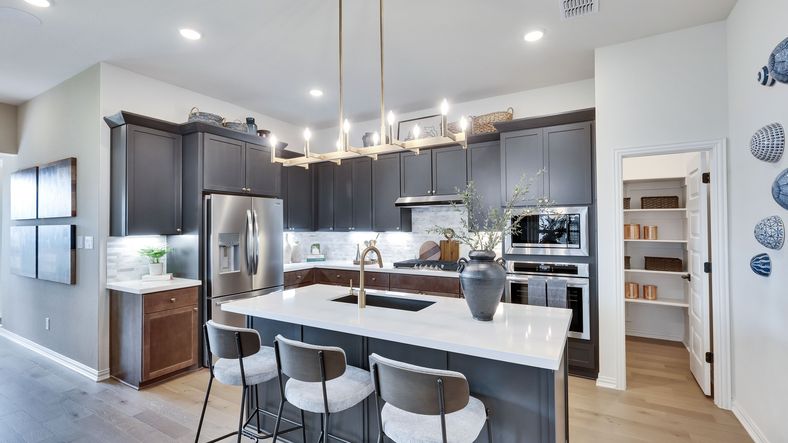 Experience sleek elegance with dark cabinetry, premium appliances, and designer finishes at Lakeside Meadows.