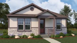 Admiral - Windler: Aurora, Colorado - DRB Homes