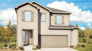 Wallflower - Bloom: Fort Collins, Colorado - DRB Homes
