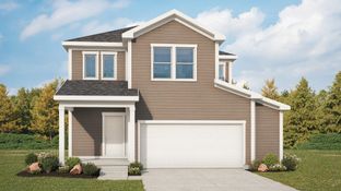 Sunflower - Bloom: Fort Collins, Colorado - DRB Homes