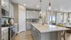 casa en Windler por DRB Homes