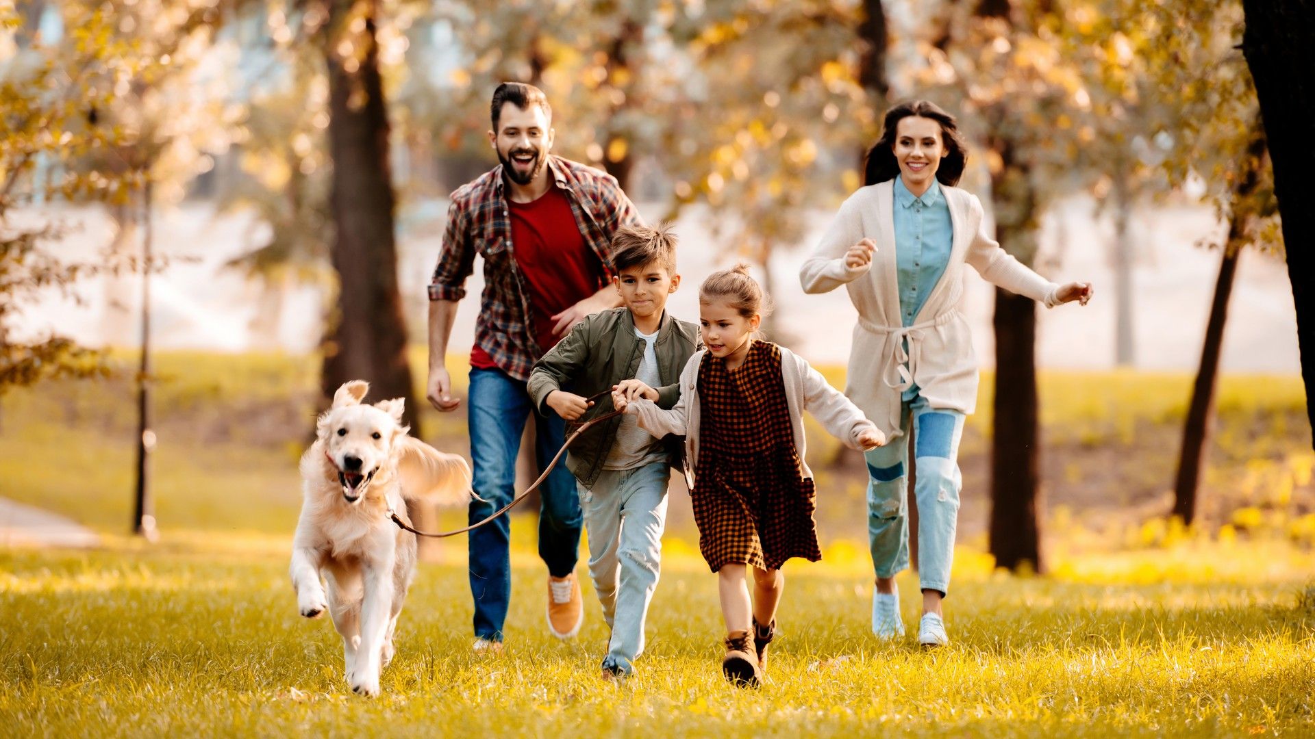 Experience Trevenna's lush parks in Windsor, CO, where nature and community blend seamlessly for family enjoyment.